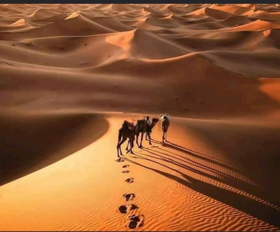 Camp Desert Bivouac Chegaga El Gouera Екстериор снимка
