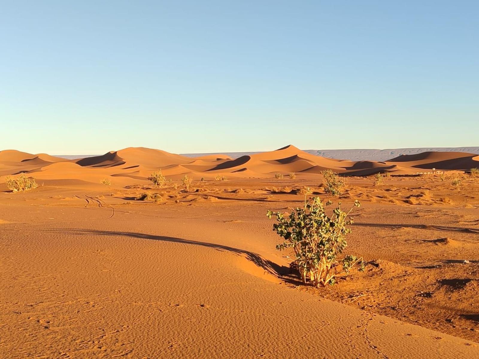 Camp Desert Bivouac Chegaga El Gouera Екстериор снимка