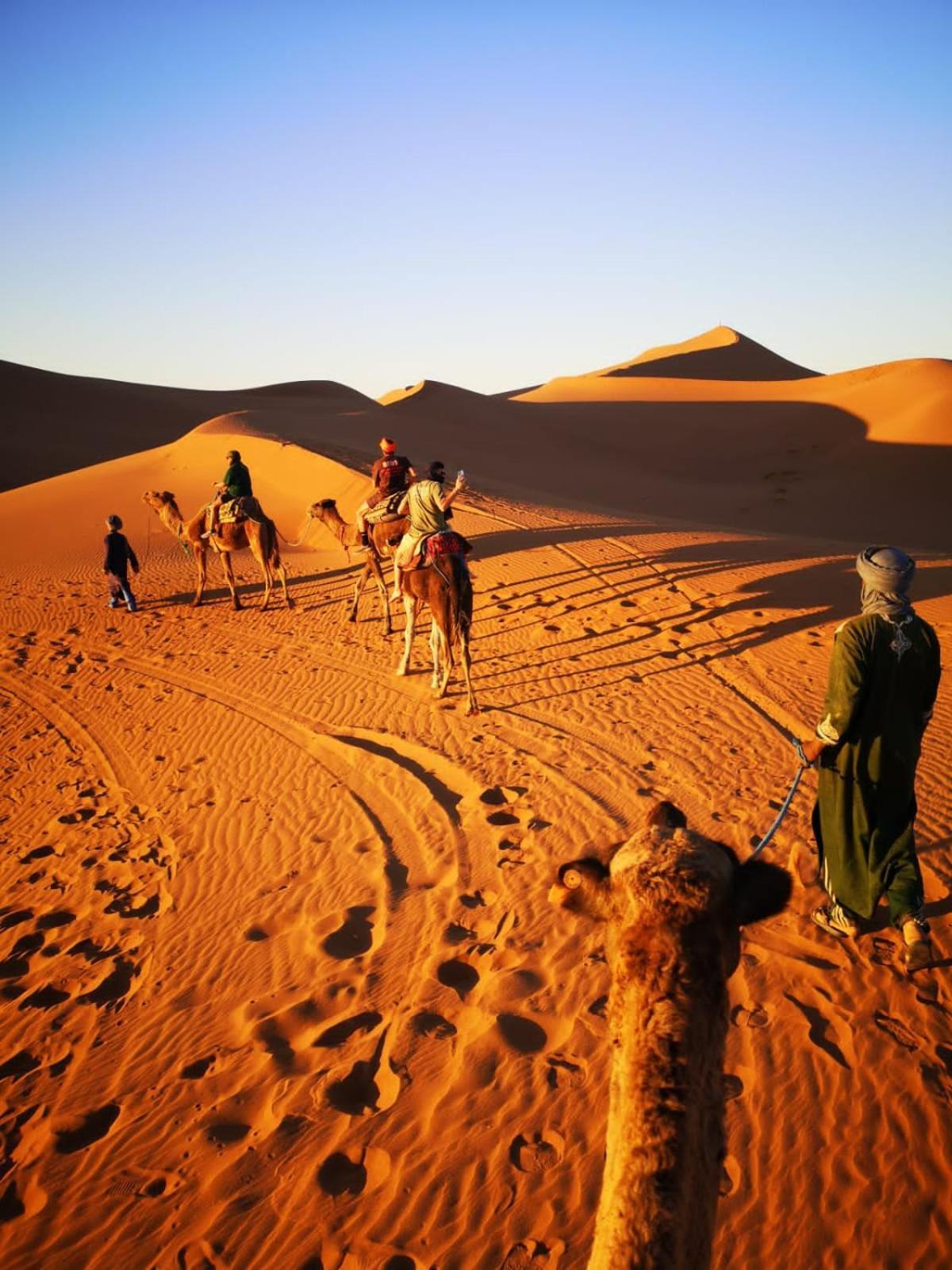 Camp Desert Bivouac Chegaga El Gouera Екстериор снимка