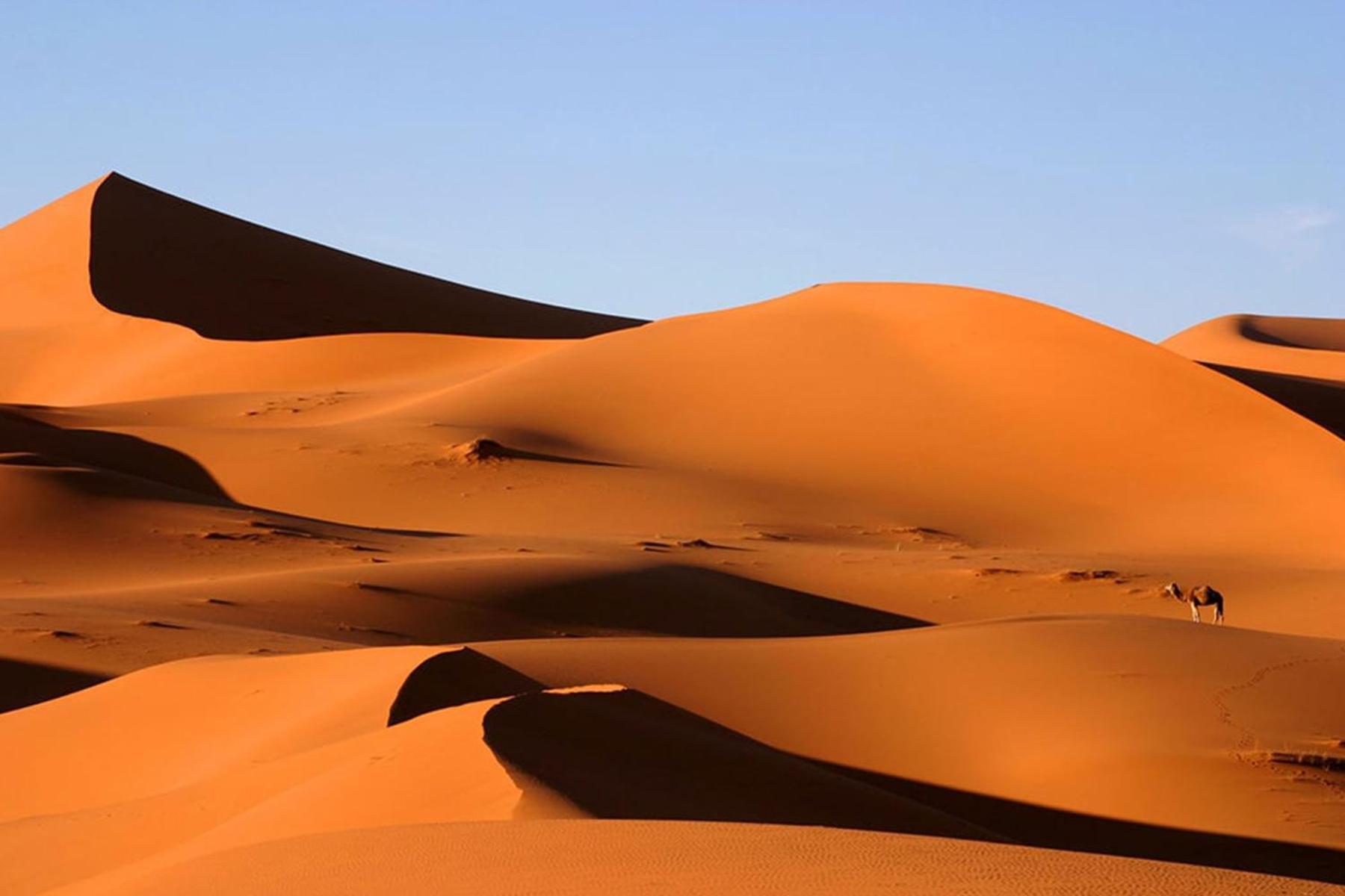 Camp Desert Bivouac Chegaga El Gouera Екстериор снимка